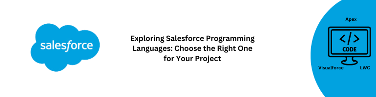 Salesforce Programming Languages