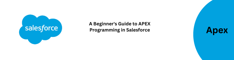 APEX Programming Salesforce