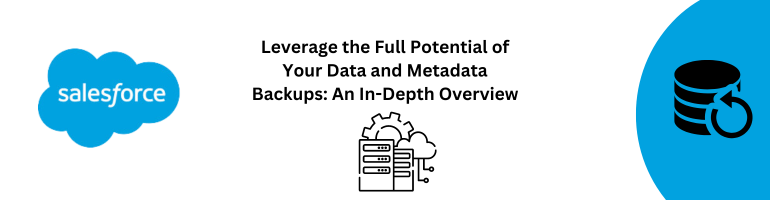 Leverage the Full Potential of Your Data and Metadata Backups: An In-Depth Overview