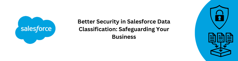 Salesforce Data Classification Security