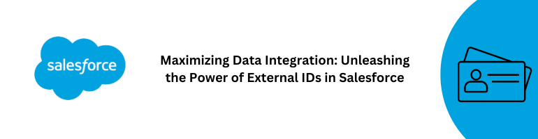 External IDs in Salesforce Data Integration