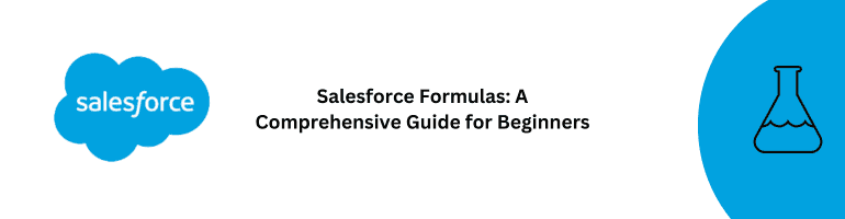 Salesforce Formulas Guide