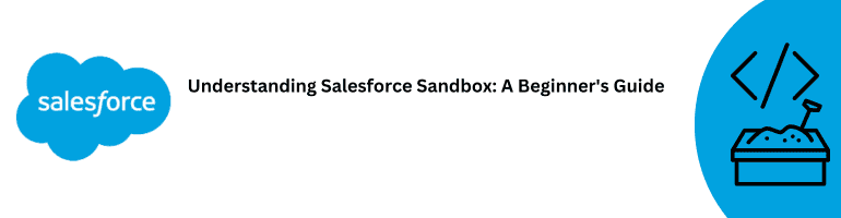 Salesforce Sandbox Beginner's Guide