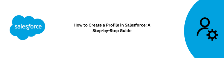 Salesforce Profile Creation Guide