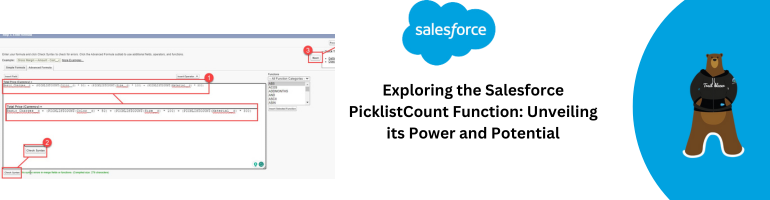 Salesforce PicklistCount Function