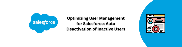 Salesforce User Management Optimization