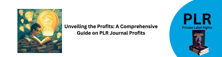 PLR Journal Profits Guide